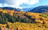 4516  Capitol Creek, Snowmass, Colorado Homes & Land - Real Estate